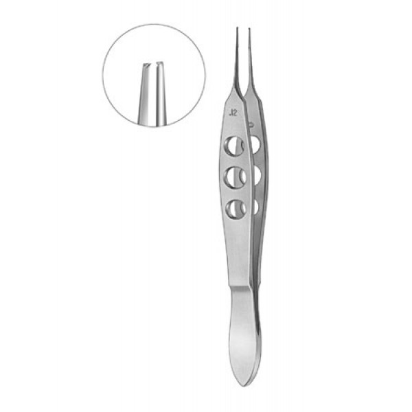 Forceps